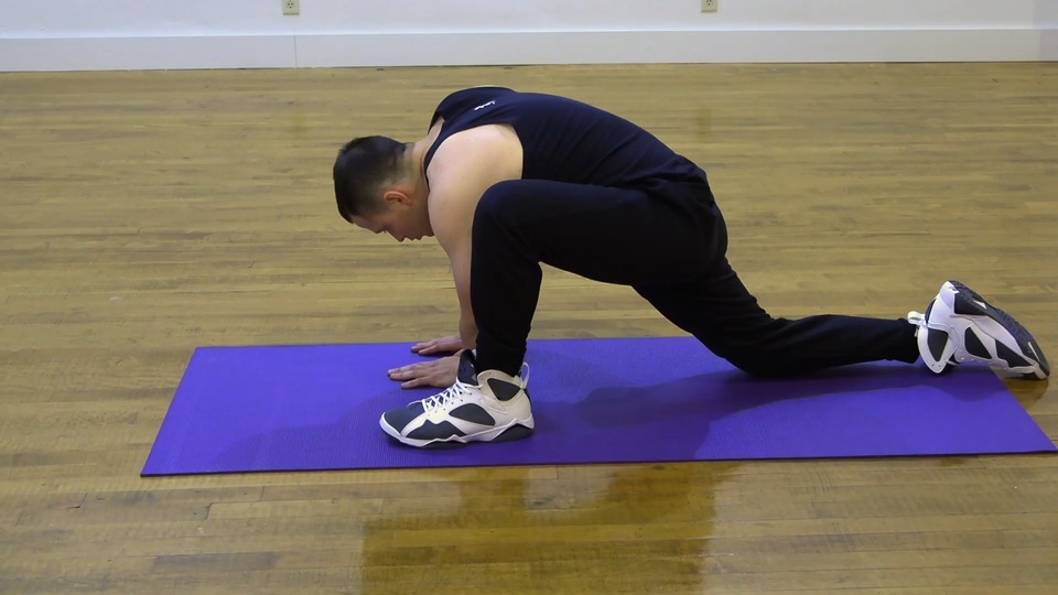 Lizard exercise demo