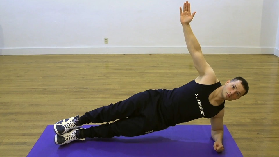 Low Side Plank Twists exercise demo