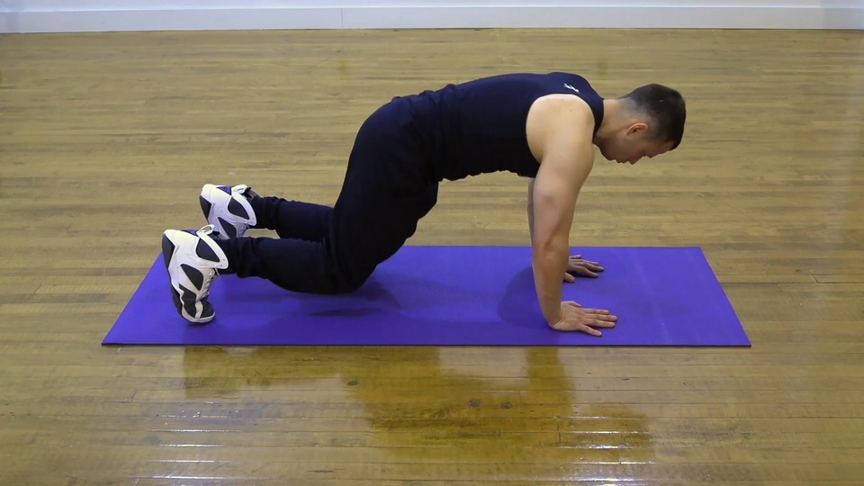 Bear Plank Shoulder Taps exercise demo