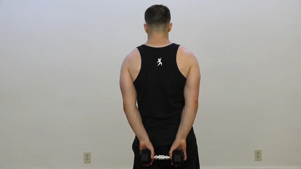 Behind Single Dumbbell Wrist Curl exercise demo