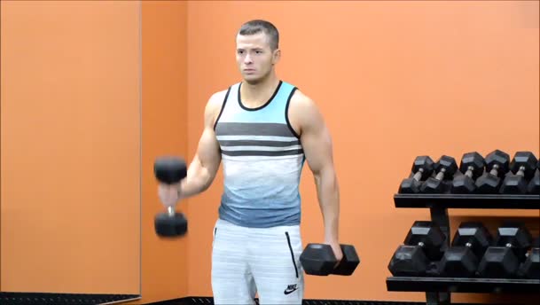 Alternating Hammer Curls exercise demo