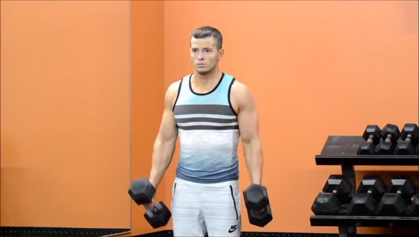 Hammer Curls exercise demo
