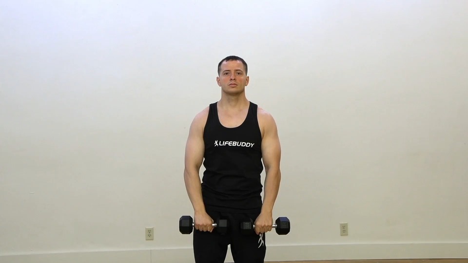 Front Raise Into Reverse Grip Raise exercise demo
