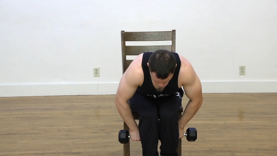 Hammer Rear Delt Fly exercise demo