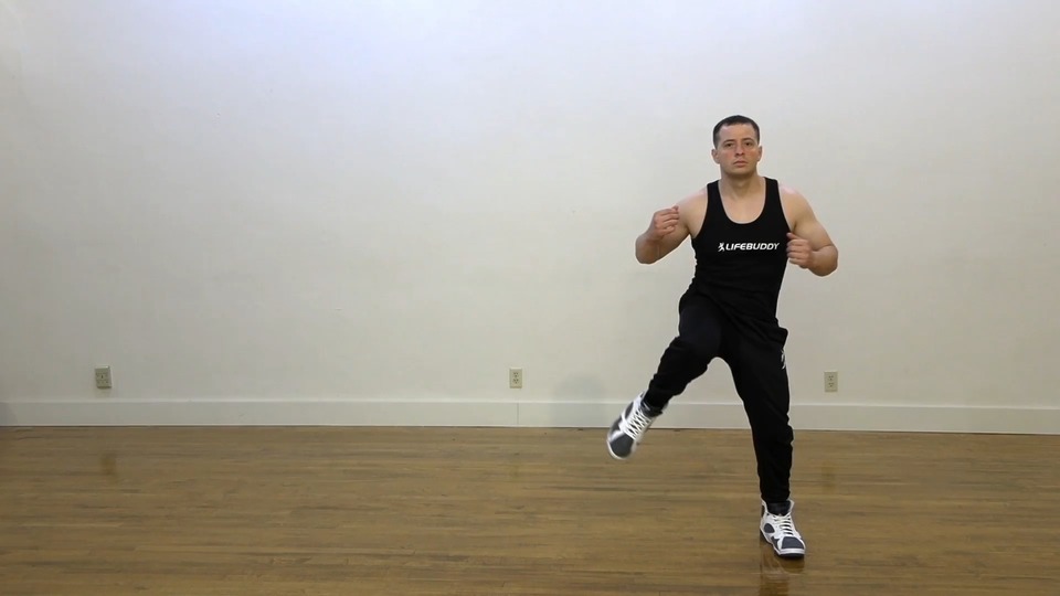 Hurdle Steps Alternating exercise demo