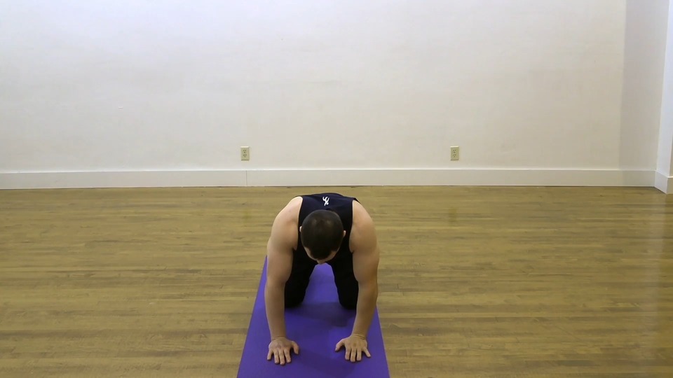 Kneeling Openers exercise demo