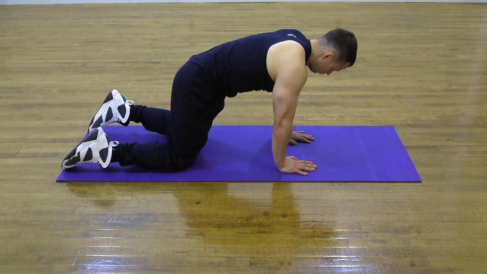 Kneeling Walk Outs exercise demo