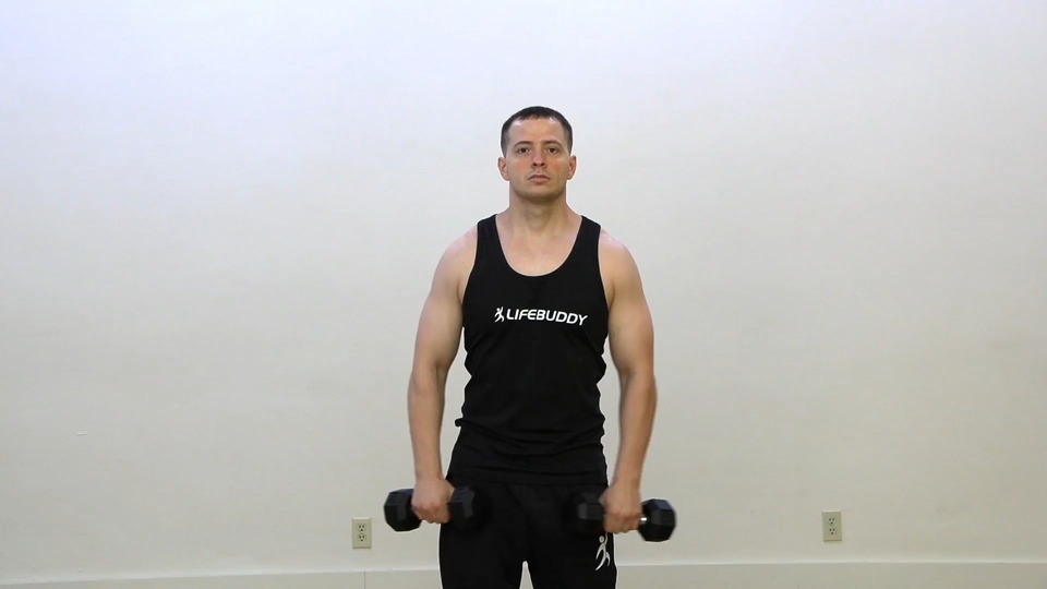 Lateral Raise Into Reverse Shrug exercise demo
