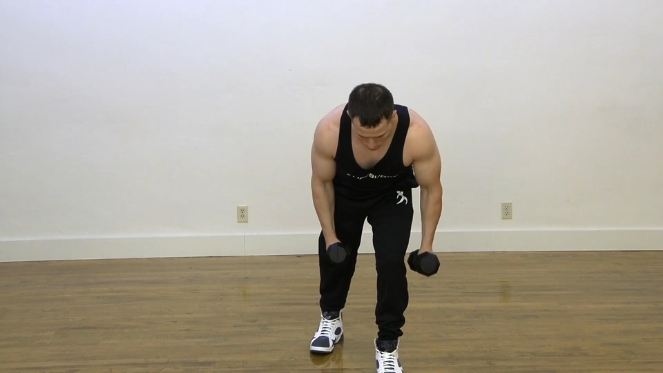 Leaning Front Raise Into Rear Fly exercise demo