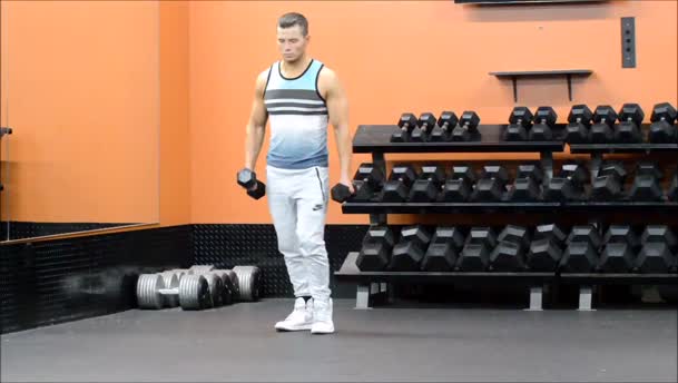 Alternating Lunge exercise demo