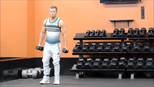 Back Lunges exercise demo