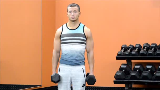Shrug Holds exercise demo