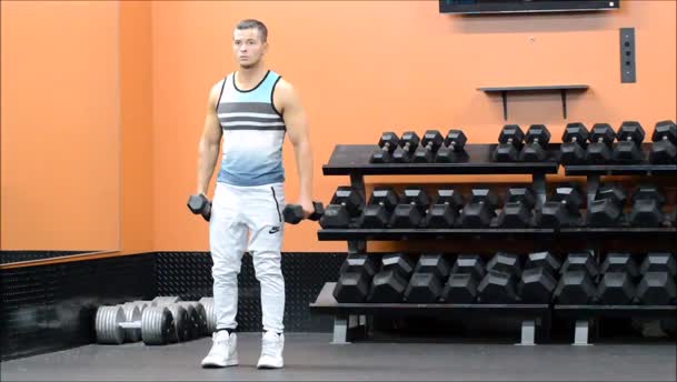 Squat Back Lunge exercise demo