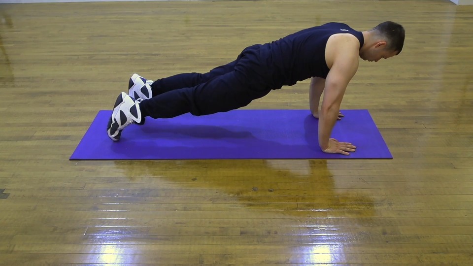 Loaded Beast To High Plank exercise demo