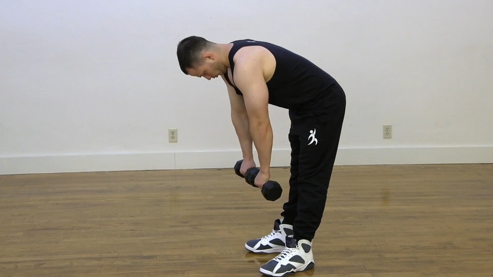 Low Row exercise demo