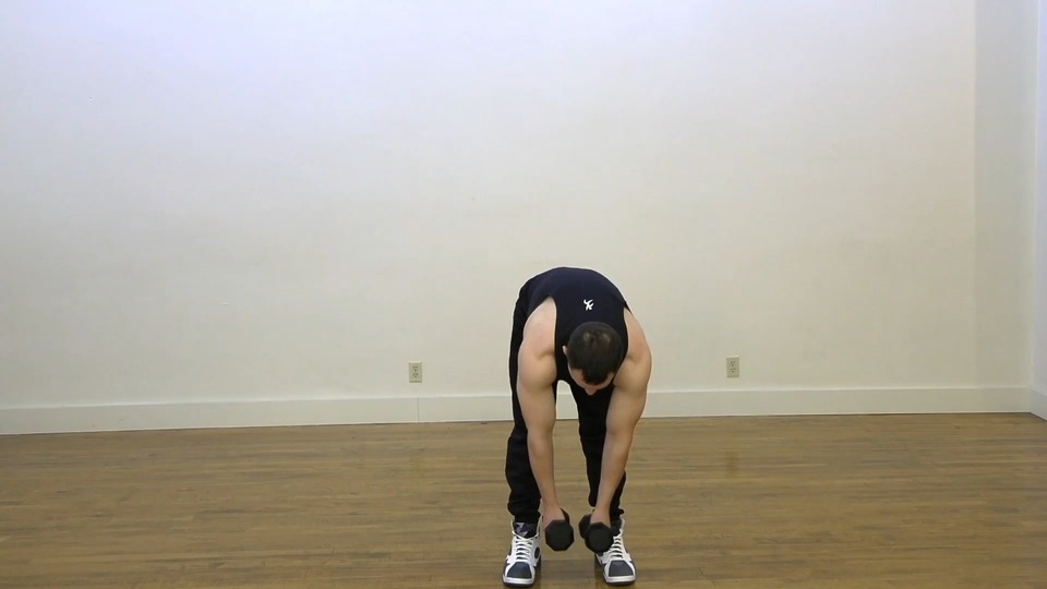 Low To High Back Row exercise demo