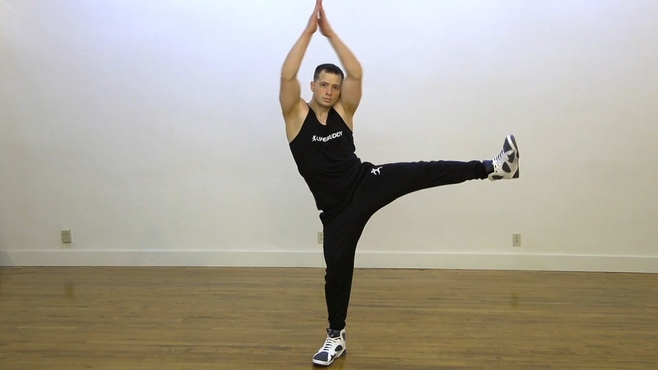 Modified Jumping Jack exercise demo