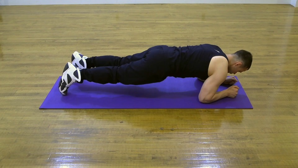 Plank Hip Twist exercise demo