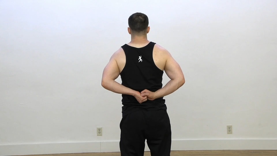 Pull Behind Shrug exercise demo