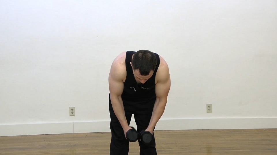 Rear Delt Fly exercise demo