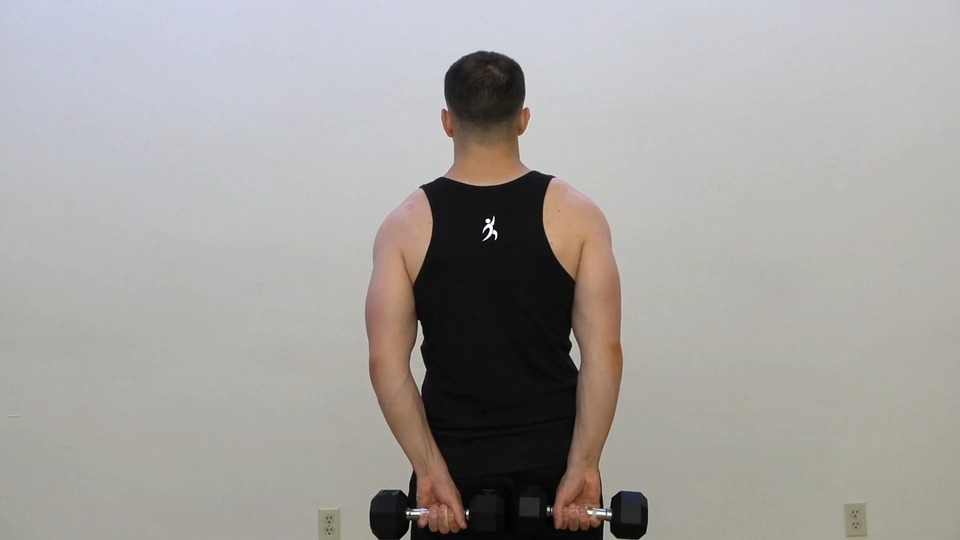 Rear Shrug exercise demo