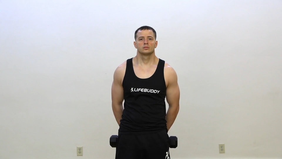 Reverse Shrug Into Side Raise exercise demo