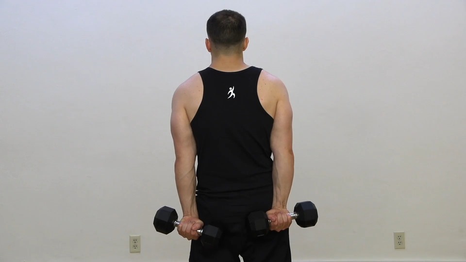 Reverse Wrist Curl exercise demo