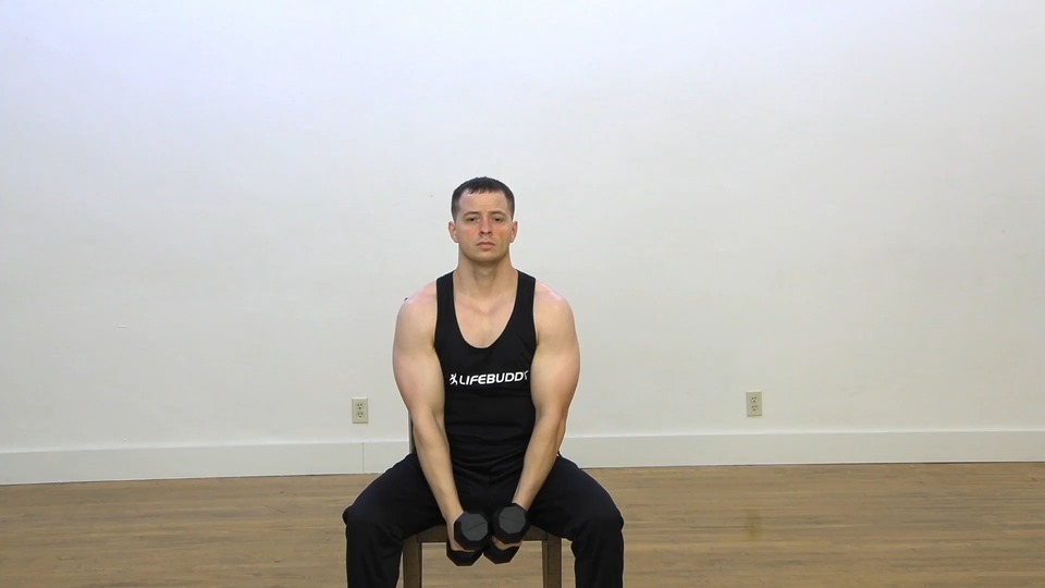 Seated Double Close Hammer Curl Into Double Tricep Extension exercise demo