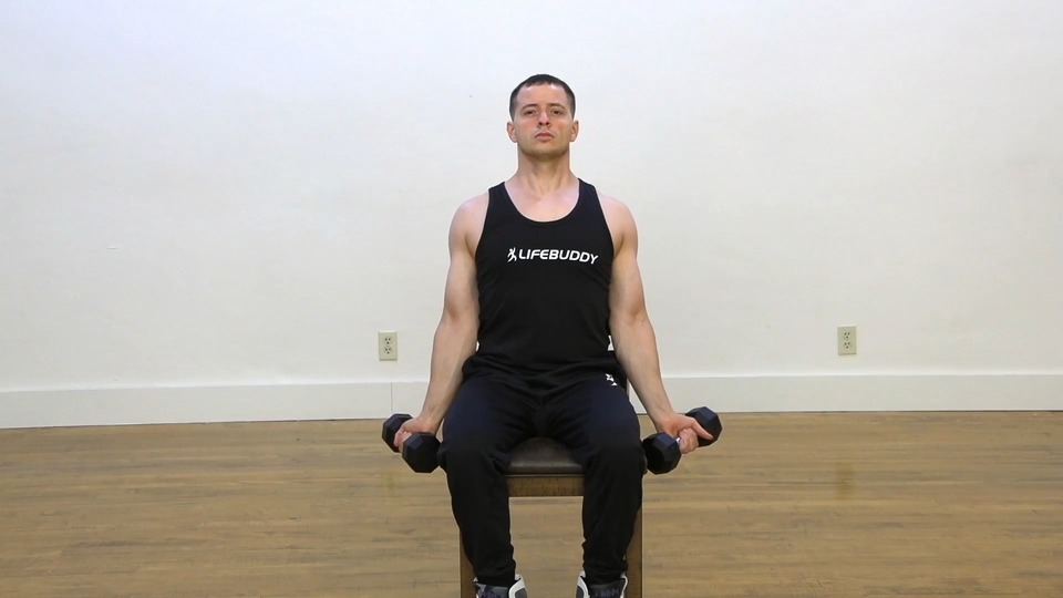 Seated Double Out Curl Into Double Lateral Raise exercise demo