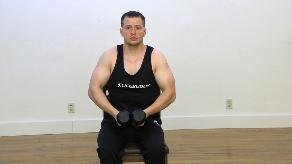 Seated Hammer Delt Raise exercise demo