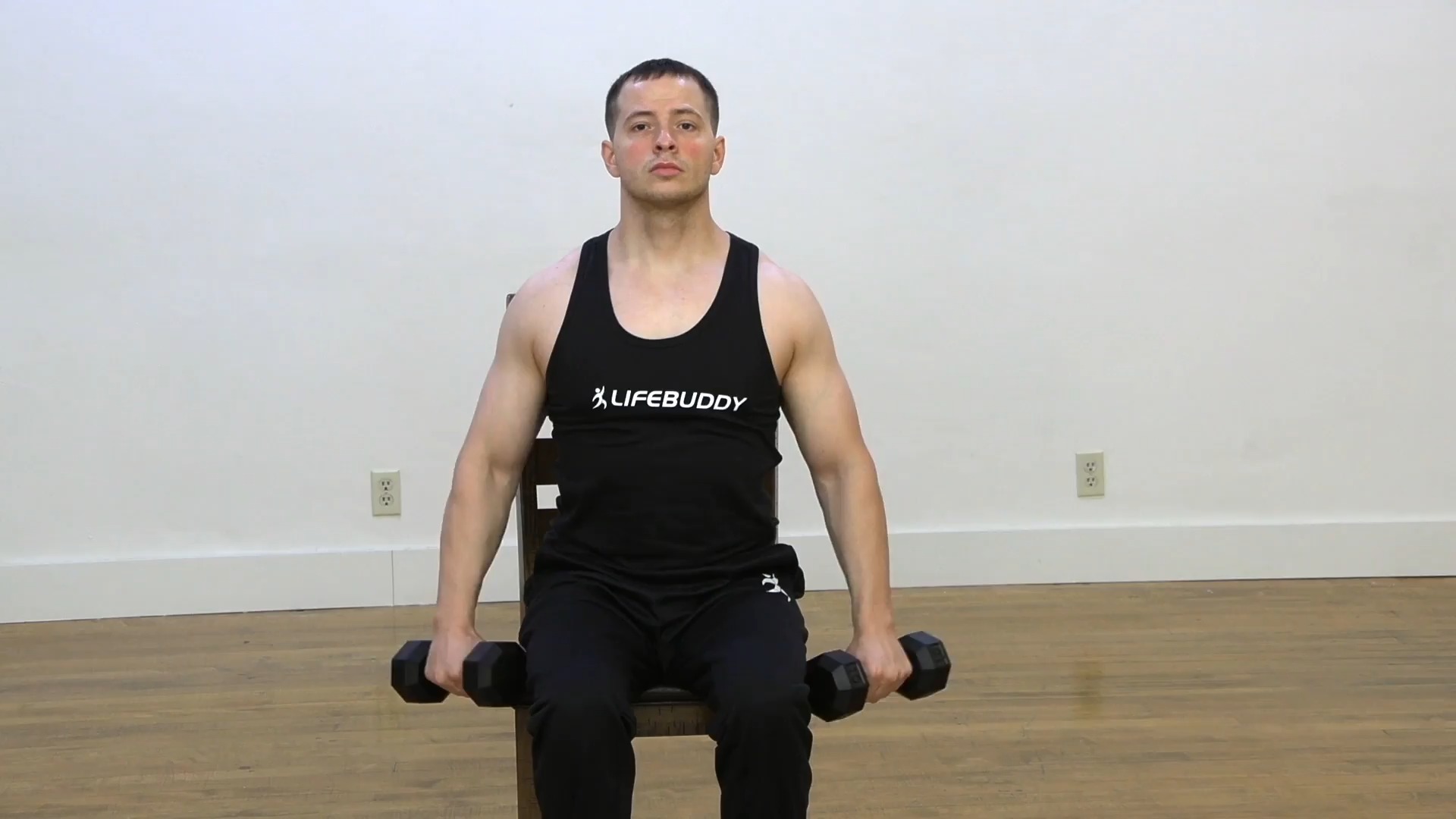 Seated Lateral Raise exercise demo