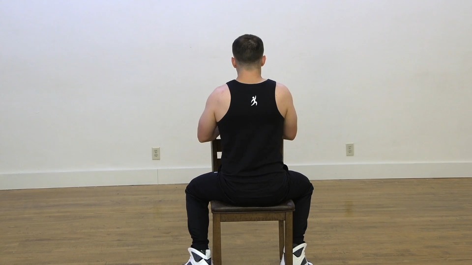 Seated Rear Fly exercise demo