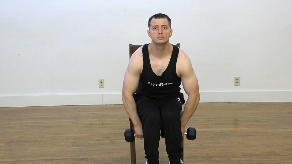 Seated Upright Row exercise demo