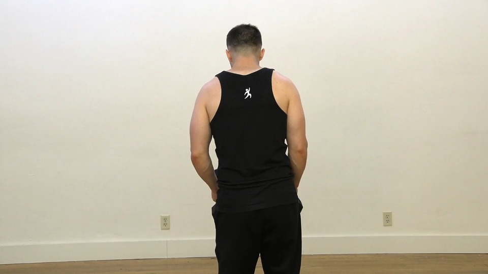 Side Arm Raise exercise demo
