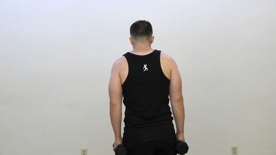 Side Row Into Side Raise exercise demo