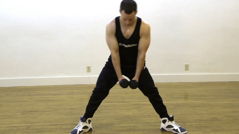 Side To Side Lunge exercise demo