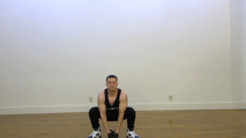 Squat Dumbbell Raise exercise demo