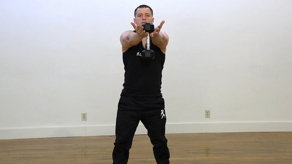 Squat Into Front Extension exercise demo