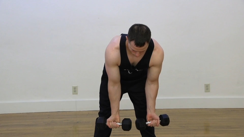 Supinated Row Into Delt Fly exercise demo