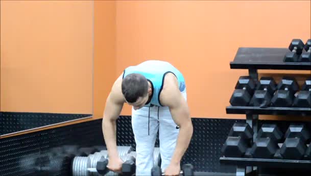 Bent Over Rear Delt Raises exercise demo