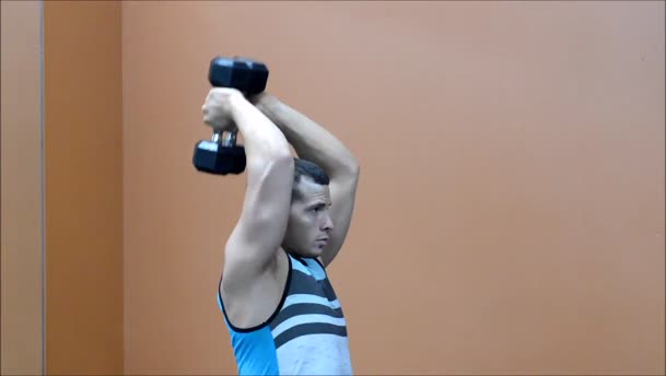 Double Dumbbell Extensions exercise demo
