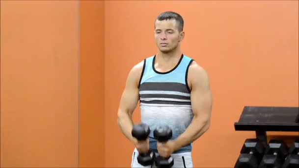 Hammer Rear Delt Raises exercise demo