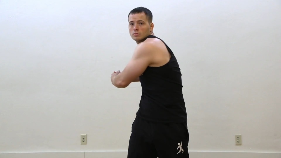 Torso Twist exercise demo